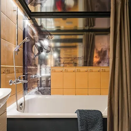 公寓 Vintage Old Town